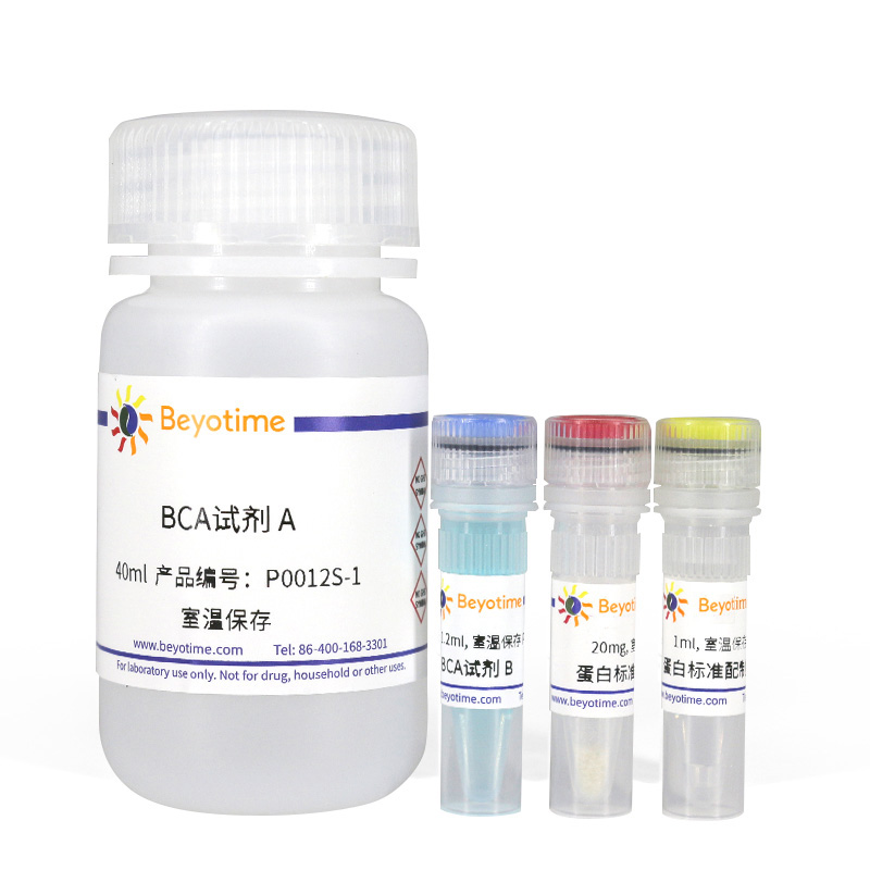 BCA蛋白浓度测定试剂盒(P0012S)