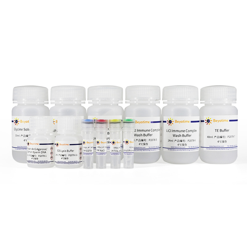 ChIP Assay Kit(染色质免疫沉淀检测试剂盒)(P2078) ChIP Assay Kit(染色质免疫沉淀检测试剂盒)(P2078)